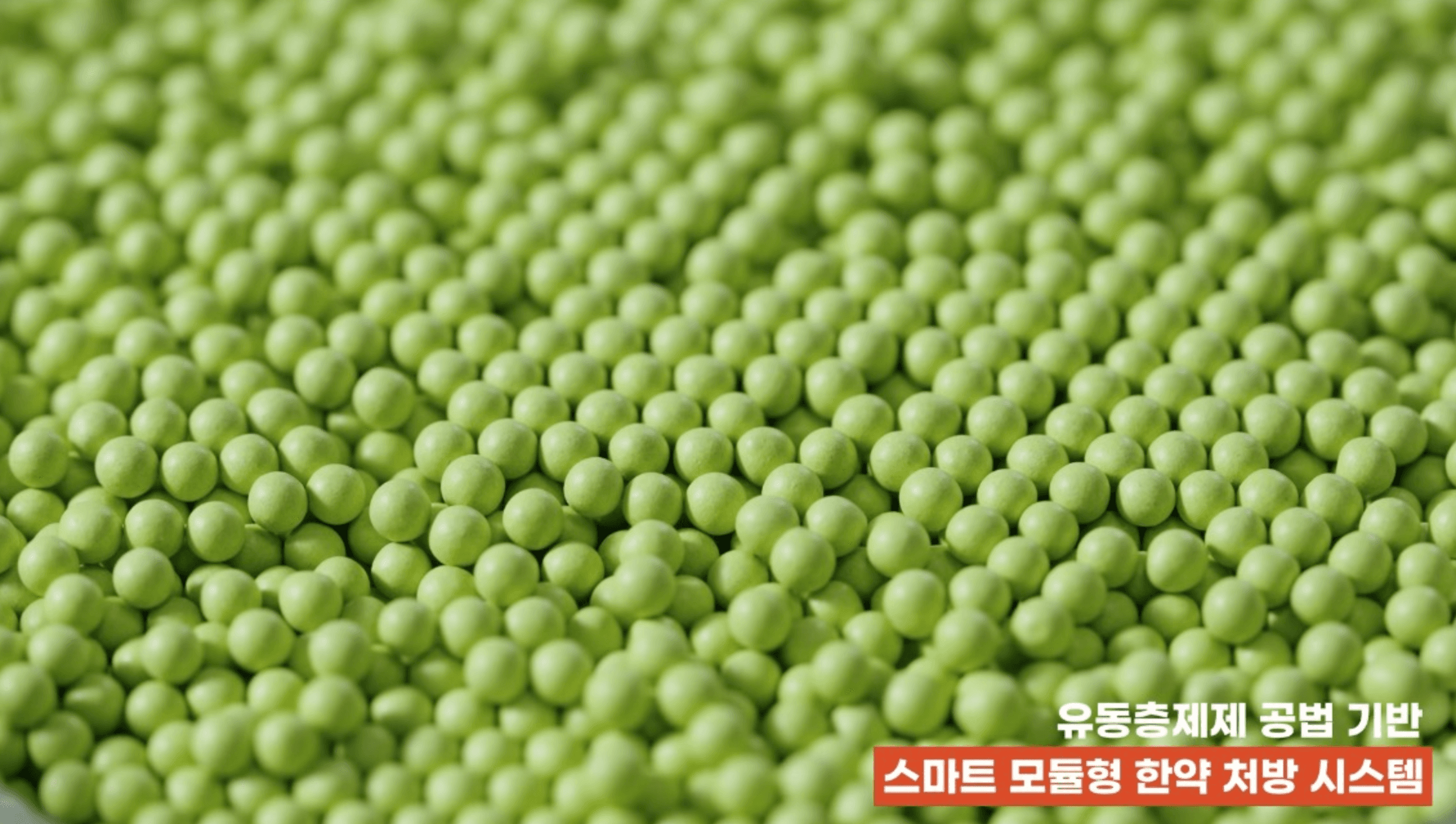 옥천당 유동층제제 과립 — 균일한 입자